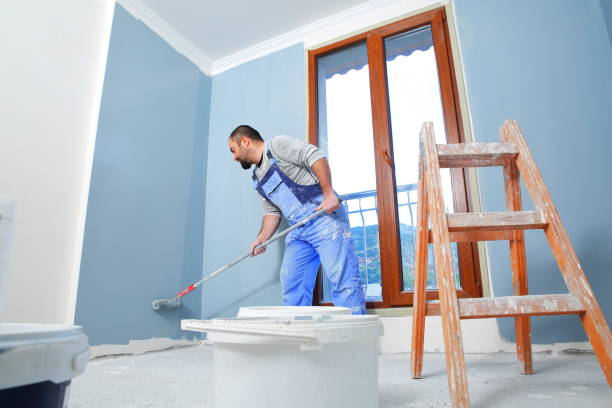 Best HVAC Mold Inspection and Cleaning  in Roseville, MN