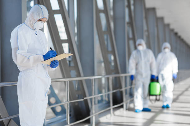 Best Mold Documentation for Insurance Claims  in Roseville, MN