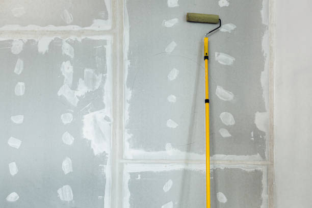 Roseville, MN Mold Removal Company