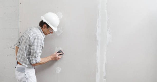 Best Industrial Mold Remediation  in Roseville, MN
