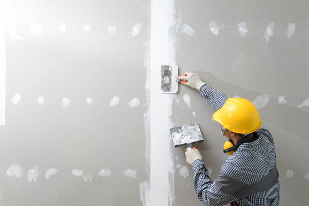 Mold Remediation for Rental Properties in Roseville, MN