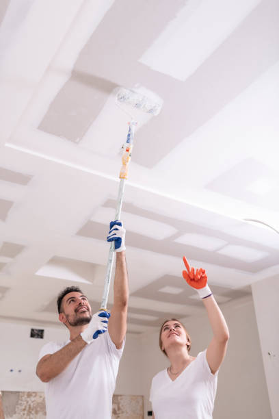 Best HVAC Mold Inspection and Cleaning  in Roseville, MN