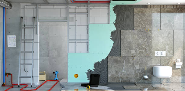 Best Black Mold Removal  in Roseville, MN