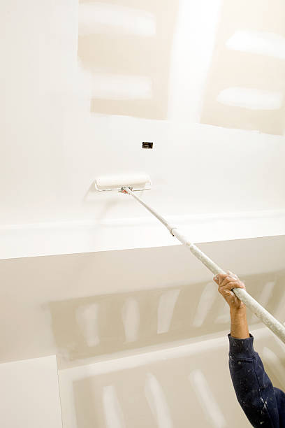 Mold Documentation for Insurance Claims in Roseville, MN