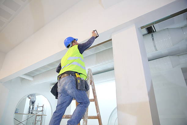 Best Dehumidification Services  in Roseville, MN
