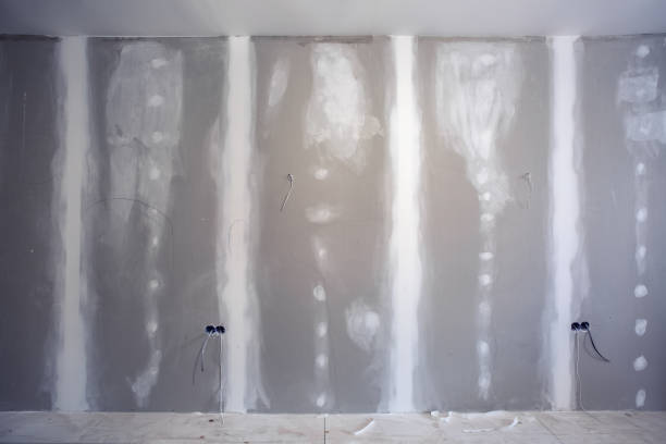 Best Post-Construction Mold Inspection  in Roseville, MN